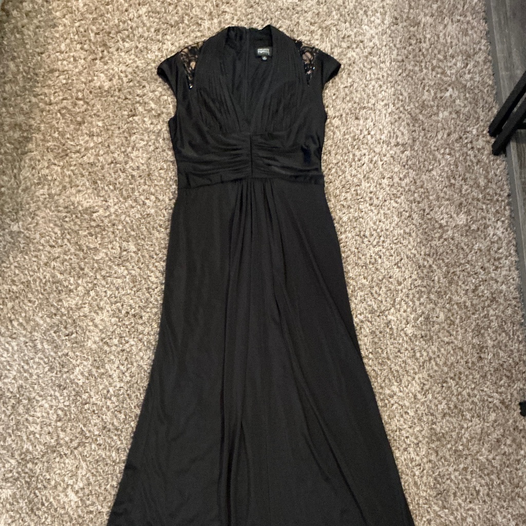 Elegant Adrianna Papell Gown 10